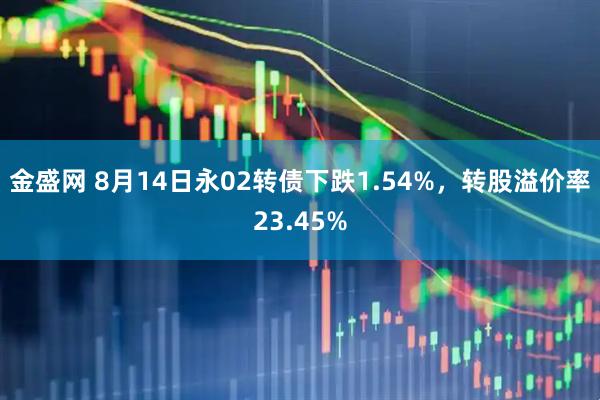 金盛网 8月14日永02转债下跌1.54%，转股溢价率23.45%