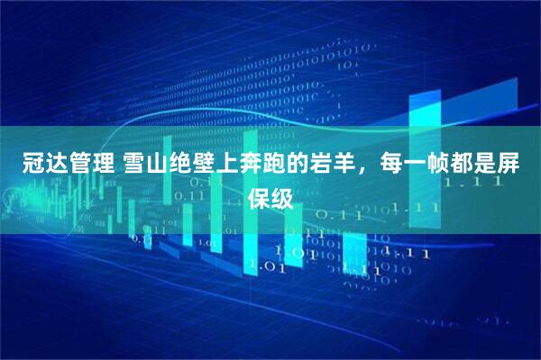 冠达管理 雪山绝壁上奔跑的岩羊，每一帧都是屏保级