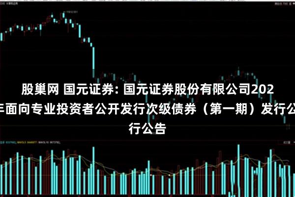 股巢网 国元证券: 国元证券股份有限公司2025年面向专业投资者公开发行次级债券（第一期）发行公告